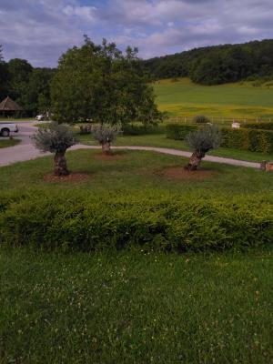 Paysagiste à Varennes-le-Grand